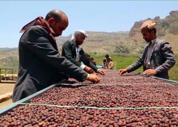 وزارة الزراعة تحدد موعد مهرجان البن الزراعي الأول