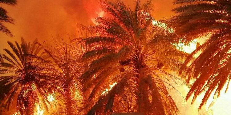 حريق ضخم يلتهم اكثر من 500 نخلة في احد المزارع بحضرموت