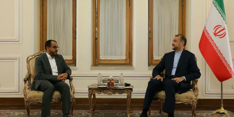 لقاءات مكثفة بين الجانب اليمني والإيراني لمناقشة مستجدات الهدنة