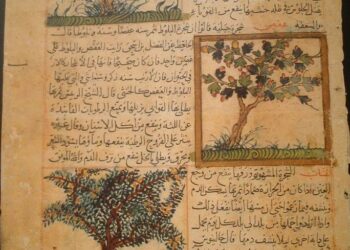 المسلمون سبقوا الأوروبيين في صناعة طباعة الكتب والمؤلفات