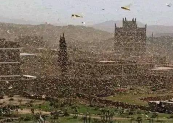 تقرير يكشف خطورة انتشار أسراب الجراد على هذه المناطق