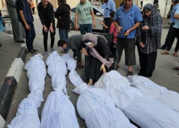 الكلاب الضالة تنهش الجثث.. الصحة الفلسطينية: 100 جثة بساحات مجمع الشفاء منع الاحتلال دفنها