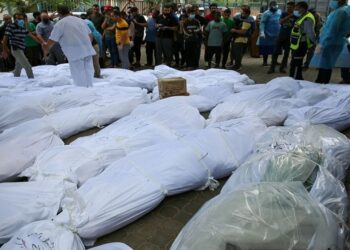 الصحة الفلسطينية تعلن ارتكاب جيش الاحتلال 7 مجازر بحق الفلسطينيين في غزة خلال الساعات الـ24 الأخيرة