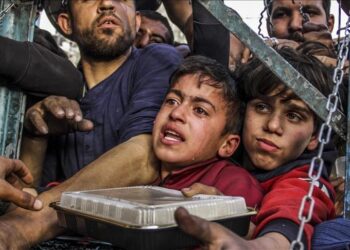 37 منظمة دولية توجه نداء عاجل للعالم بشأن الحصار الإسرائيلي على مئات الآلاف من المدنيين شمال غزة