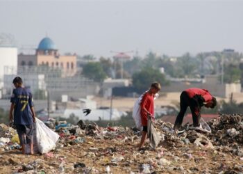 الأونروا.. الناس يبحثون في النفايات التي مضى عليها أسابيع عن فتات الطعام، ويصبح البقاء على قيد الحياه مستحيلا مع دخول الشتاء وعدم وجود مساعدات في غزة!