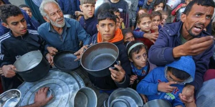 عن شمال غزة.. الأونروا “أي شيء يحدث الآن سيكون متأخراً للغاية. فقد قُتل الآلاف بلا سبب، بسبب نقص المساعدات، وعجزنا عن الوصول إلى الضحايا تحت الأنقاض”